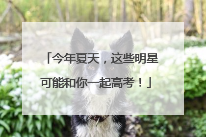 今年夏天，这些明星可能和你一起高考！