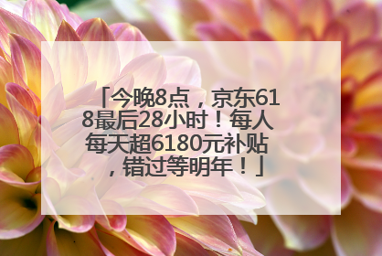 今晚8点，京东618最后28小时！每人每天超6180元补贴，错过等明年！