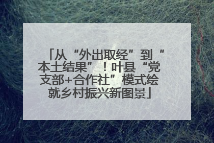 从“外出取经”到“本土结果”！叶县“党支部+合作社”模式绘就乡村振兴新图景