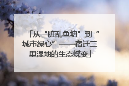 从“脏乱鱼塘”到“城市绿心”——宿迁三里湿地的生态蝶变