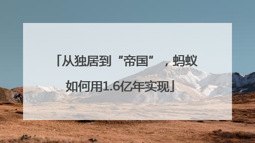 从独居到“帝国”，蚂蚁如何用1.6亿年实现