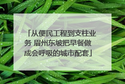 从便民工程到支柱业务 眉州东坡把早餐做成会呼吸的城市配套