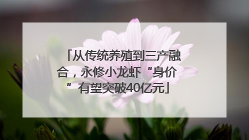 从传统养殖到三产融合，永修小龙虾“身价”有望突破40亿元