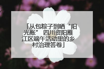 从包粽子到晒“阳光账” 四川资阳雁江区端午活动里的乡村治理答卷