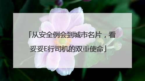 从安全例会到城市名片，看妥妥E行司机的双重使命