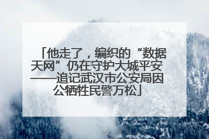 他走了，编织的“数据天网”仍在守护大城平安——追记武汉市公安局因公牺牲民警万松