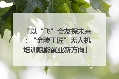 以“飞”会友探未来：“金陵工匠”无人机培训赋能就业新方向