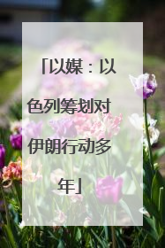 以媒：以色列筹划对伊朗行动多年
