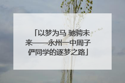 以梦为马 驰骋未来——永州一中周子俨同学的逐梦之路