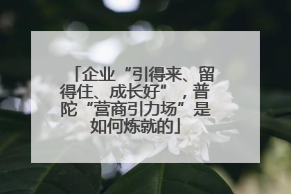 企业“引得来、留得住、成长好”，普陀“营商引力场”是如何炼就的
