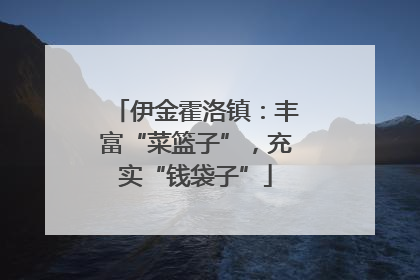 伊金霍洛镇：丰富“菜篮子”，充实“钱袋子”