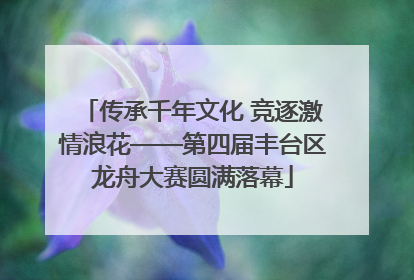 传承千年文化 竞逐激情浪花——第四届丰台区龙舟大赛圆满落幕