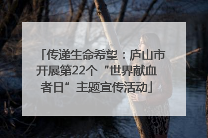 传递生命希望：庐山市开展第22个“世界献血者日”主题宣传活动