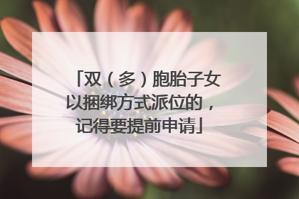 双（多）胞胎子女以捆绑方式派位的，记得要提前申请