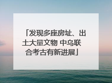 发现多座房址、出土大量文物 中乌联合考古有新进展