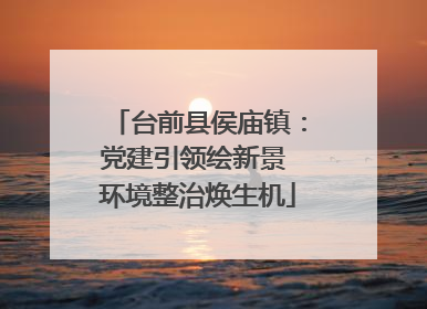 台前县侯庙镇：党建引领绘新景 环境整治焕生机