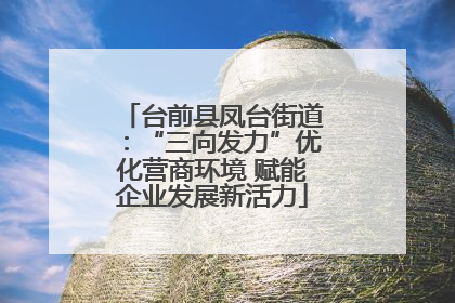 台前县凤台街道：“三向发力”优化营商环境 赋能企业发展新活力