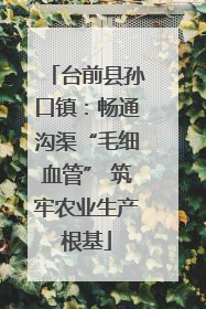 台前县孙口镇：畅通沟渠“毛细血管” 筑牢农业生产根基