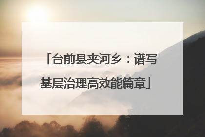 台前县夹河乡：谱写基层治理高效能篇章