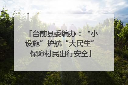 台前县委编办：“小设施”护航“大民生” 保障村民出行安全