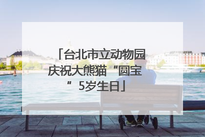 台北市立动物园庆祝大熊猫“圆宝”5岁生日