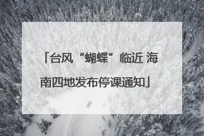台风“蝴蝶”临近 海南四地发布停课通知