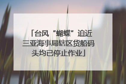 台风“蝴蝶”迫近 三亚海事局辖区货船码头均已停止作业