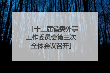 十三届省委外事工作委员会第三次全体会议召开
