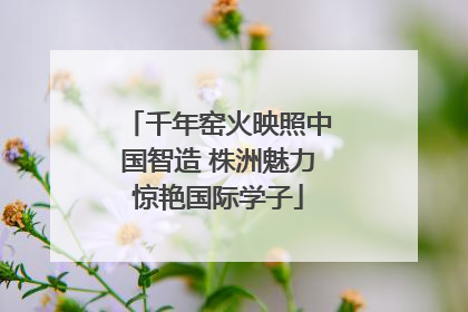 千年窑火映照中国智造 株洲魅力惊艳国际学子