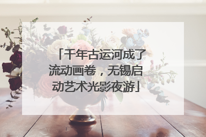 千年古运河成了流动画卷，无锡启动艺术光影夜游