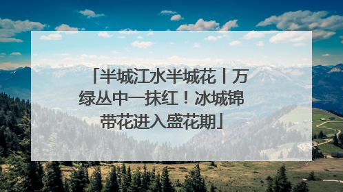 半城江水半城花丨万绿丛中一抹红！冰城锦带花进入盛花期