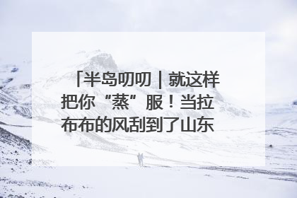 半岛叨叨｜就这样把你“蒸”服！当拉布布的风刮到了山东馒头界……