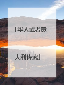 华人武者意大利传武