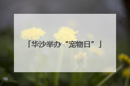 华沙举办“宠物日”