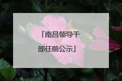南昌领导干部任前公示