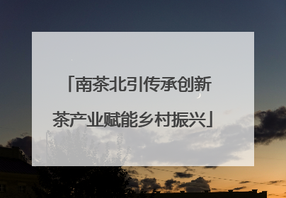 南茶北引传承创新 茶产业赋能乡村振兴