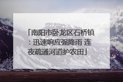 南阳市卧龙区石桥镇：迅速响应强降雨 连夜疏通河道护农田