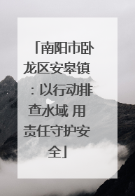 南阳市卧龙区安皋镇：以行动排查水域 用责任守护安全