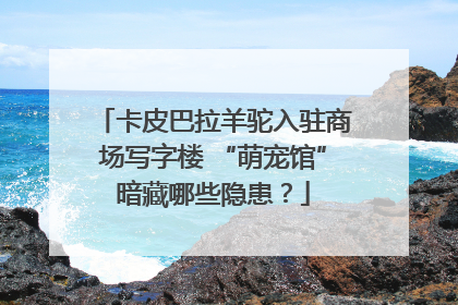 卡皮巴拉羊驼入驻商场写字楼 “萌宠馆”暗藏哪些隐患？