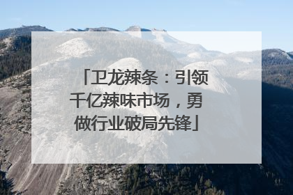 卫龙辣条：引领千亿辣味市场，勇做行业破局先锋