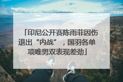 印尼公开赛陈雨菲因伤退出“内战”，国羽各单项唯男双表现差劲