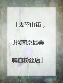 去望山街，寻找南京最美鸭血粉丝店