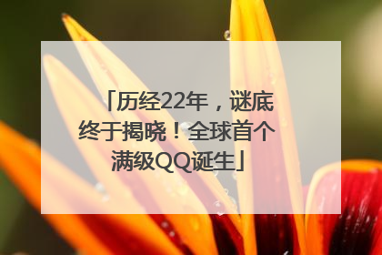 历经22年，谜底终于揭晓！全球首个满级QQ诞生