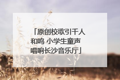 原创校歌引千人和鸣 小学生童声唱响长沙音乐厅