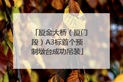 厦金大桥（厦门段）A3标首个预制墩台成功吊装