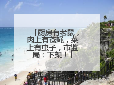 厨房有老鼠，肉上有苍蝇，菜上有虫子，市监局：下架！