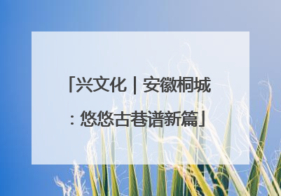 兴文化｜安徽桐城：悠悠古巷谱新篇