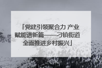党建引领聚合力 产业赋能谱新篇——刁镇街道全面推进乡村振兴