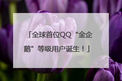 全球首位QQ“金企鹅”等级用户诞生！