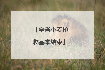 全省小麦抢收基本结束